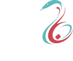 Сибэкс